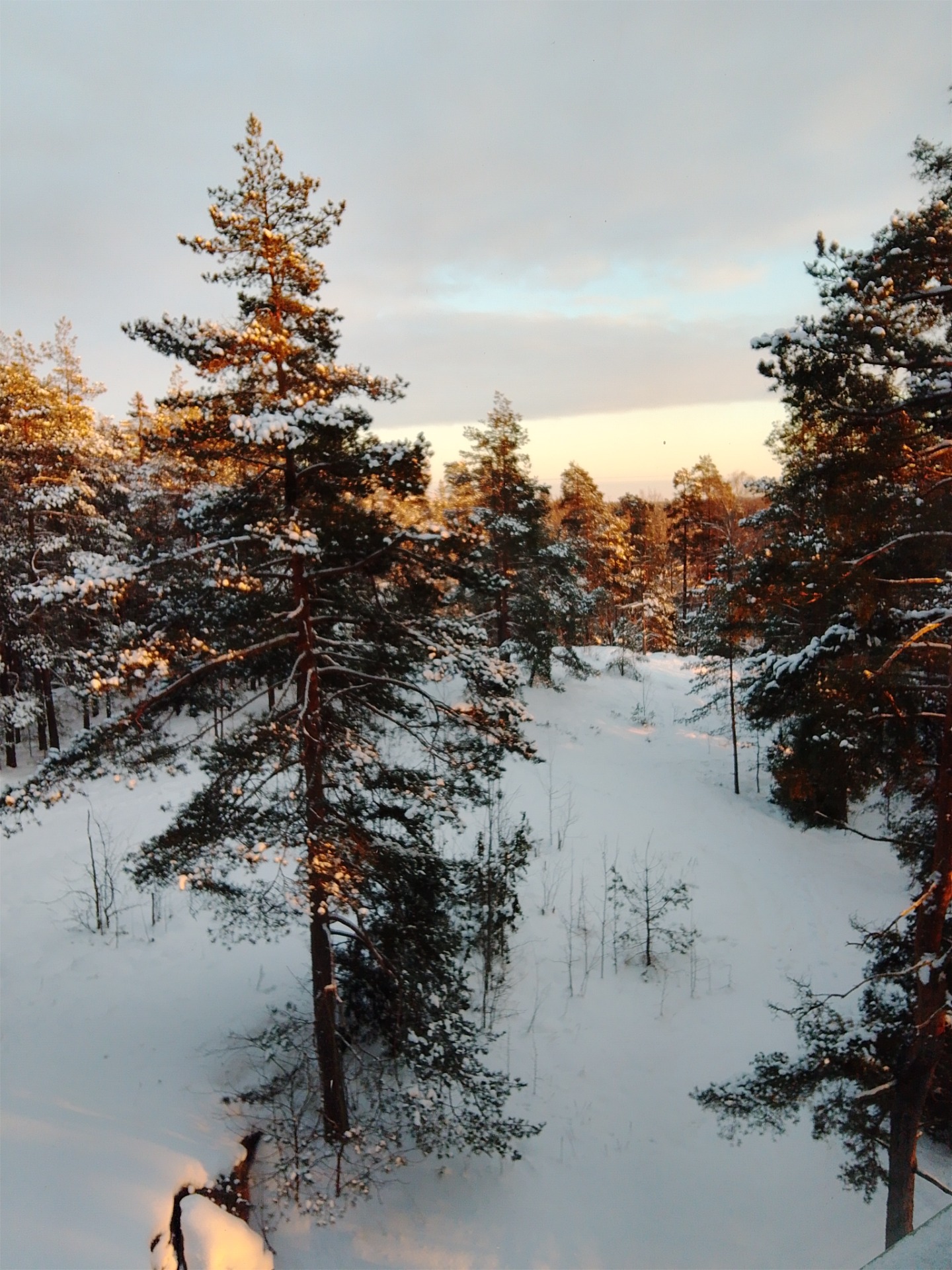 Rauhallinen näkymä vastaanoton ikkunasta Espoon Karakalliossa