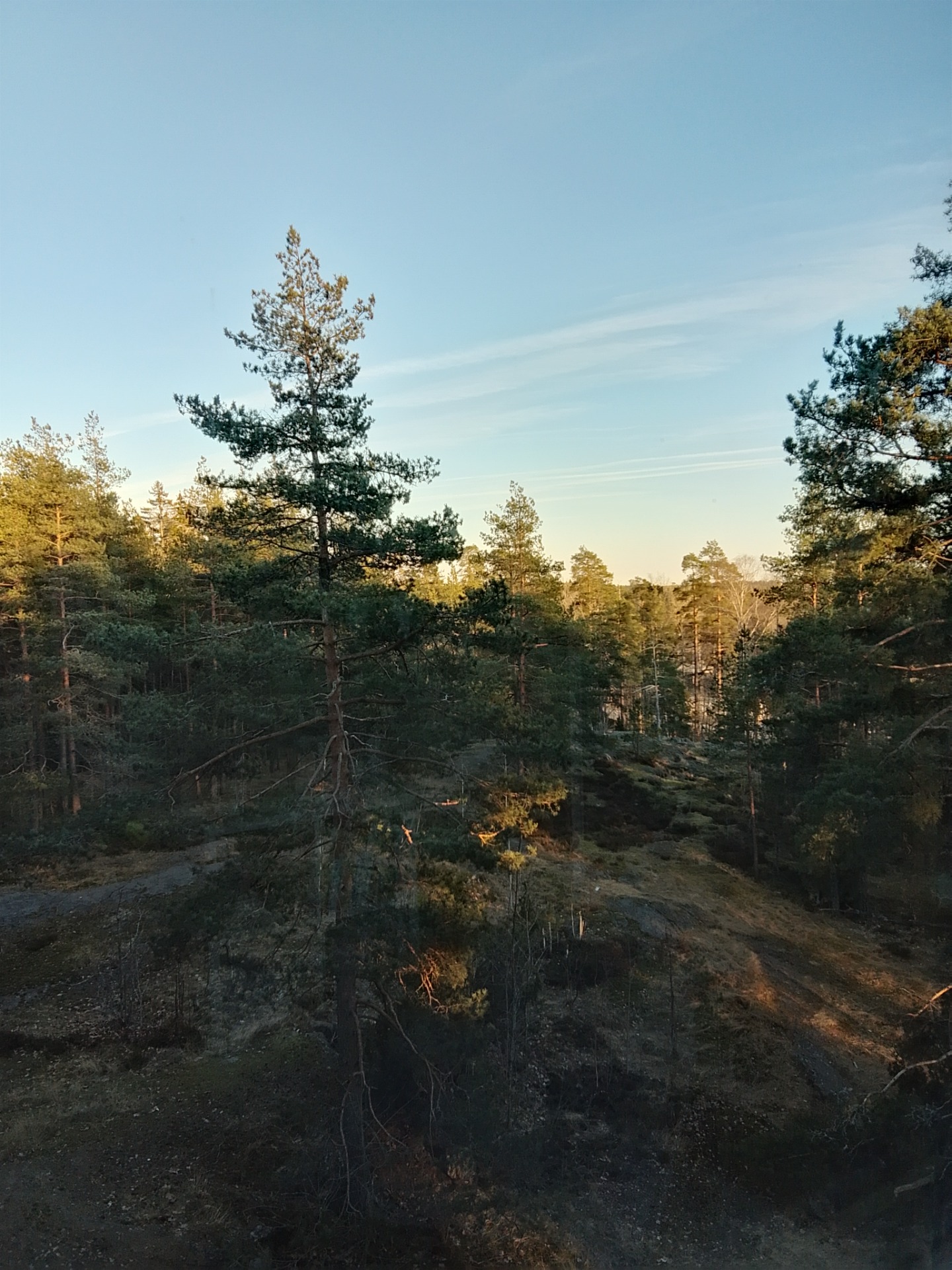 Rauhallinen näkymä vastaanoton ikkunasta Espoon Karakalliossa